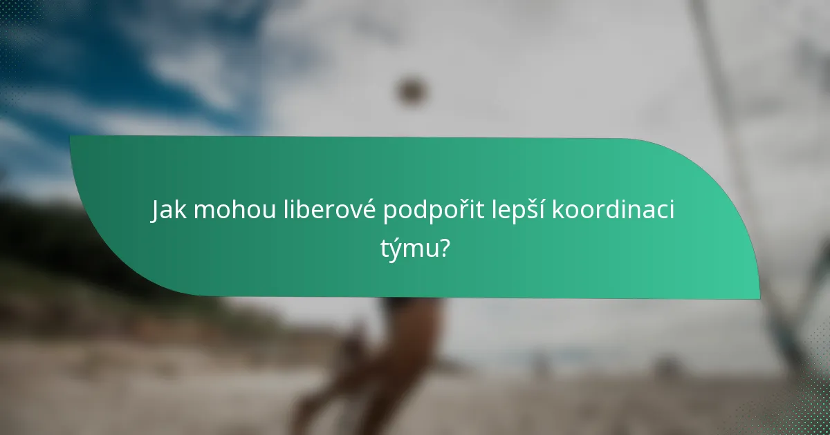 Jak mohou liberové podpořit lepší koordinaci týmu?