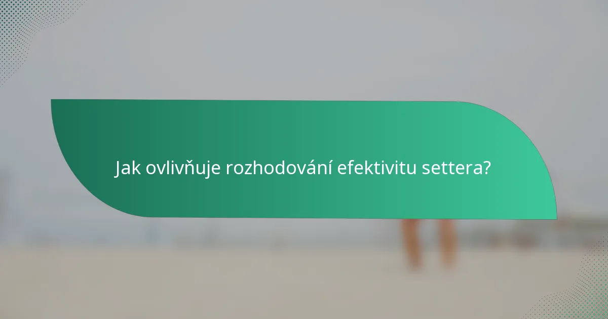 Jak ovlivňuje rozhodování efektivitu settera?