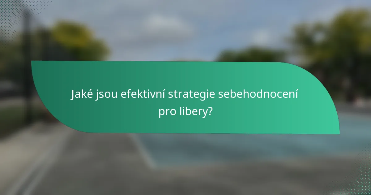 Jaké jsou efektivní strategie sebehodnocení pro libery?
