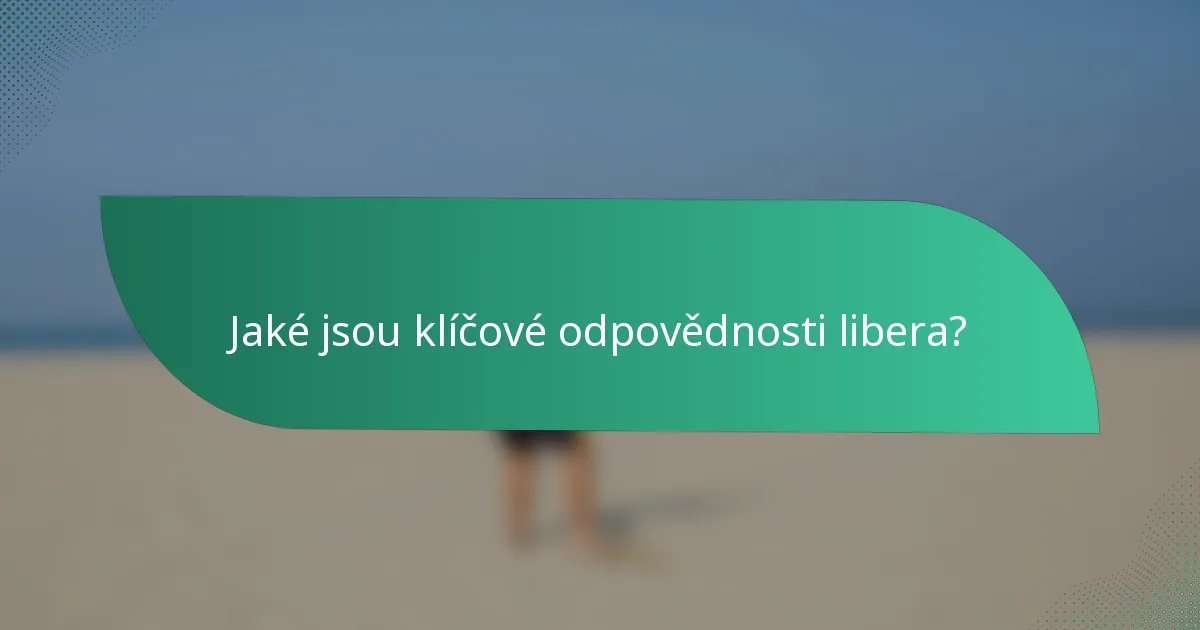 Jaké jsou klíčové odpovědnosti libera?