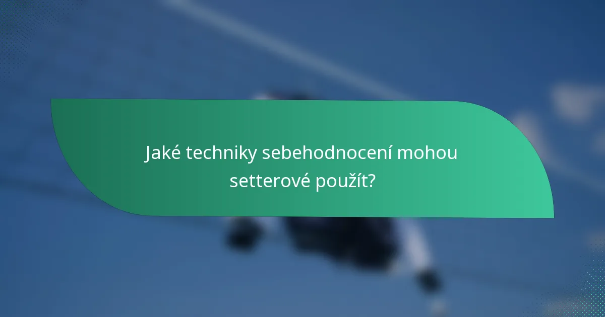Jaké techniky sebehodnocení mohou setterové použít?