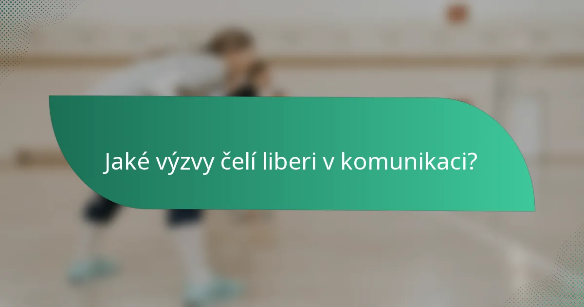 Jaké výzvy čelí liberi v komunikaci?